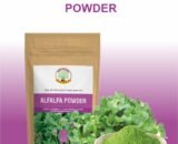 Alfalfa Powder/अल्फाल्फा पाउडर 50gm