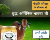 विशेष भादवे (भाद्रपद माह) का घी / Advance Booking on: Premium Bhadwa Ghee - 500ml & 1000ml  सीमित मात्रा में उपलब्ध