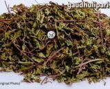 Dry Mint leaves