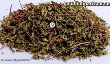 Dry Mint leaves