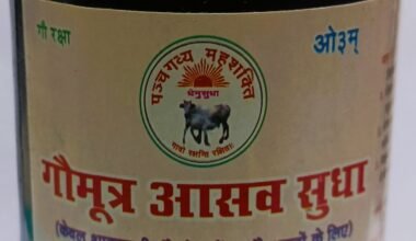Gaumutra Aasav Sudha / गोमूत्र आसव सुधा (500ml)