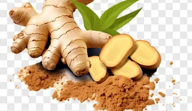 Ginger Powder from Meghalaya ( Variety - Ingmakhir)  / मेघालय की सौंठ (  किस्म  - इंगमखिर) - 90 grm