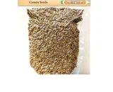 Organic Cumin Seeds - जीरा - (Vaccum Packing) 250gm & 500gm