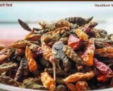 kanthari Mirch (very hot)|  कंथारी मिर्च - (पूर्णतया प्राकृतिक - Naturally Grown) -  100 gm