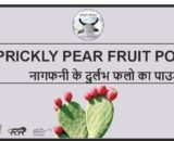 Prickly Pear Fruit Powder (good source of Iron) / नागफणी फल पाउडर (150gm) (खून बढ़ाने की अद्भुत शक्ति)