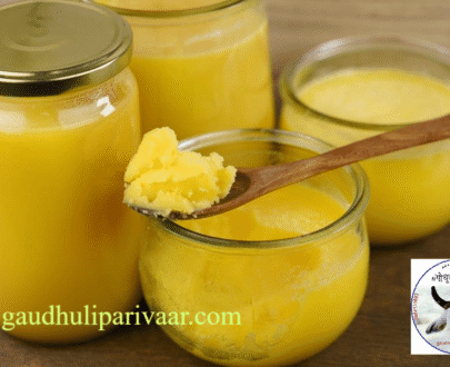 Desi Cow Bilona Ghee / देशी गोमाता का बिलोना घृत