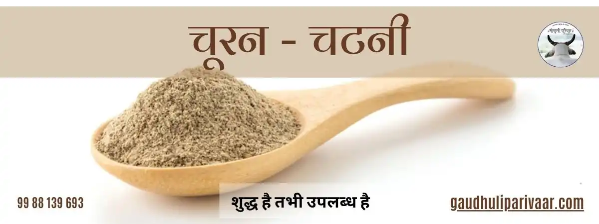 Chooran / चूर्ण – चटनी