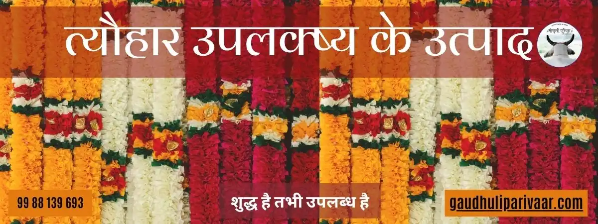 Occasional products / विशेष उपलक्ष्य के उत्पाद