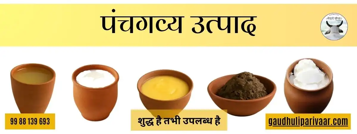 Panchgavya Products / पंचगव्य उत्पाद