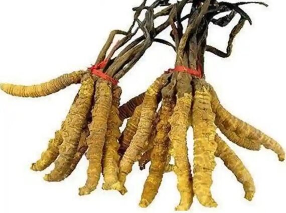 Pancham Haldi - पूर्णतया जैविक पंचम हल्दी (90gm)