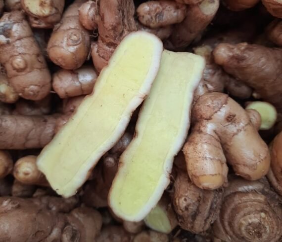 Pancham Haldi - पूर्णतया जैविक पंचम हल्दी (90gm)