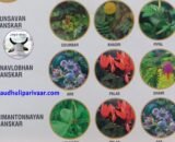 garbh-sanskar-samagri-kit