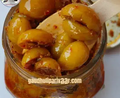 organic-karonda-pickel-kashi-homemade