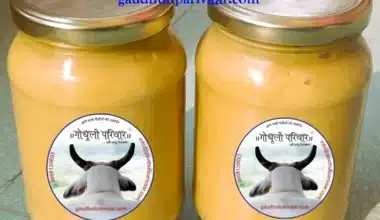 himachal-gaumata-bilona-ghee