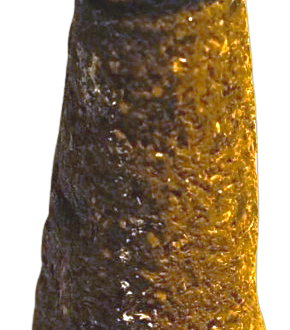 gomay-prakrutik-rose-petals-dhoop