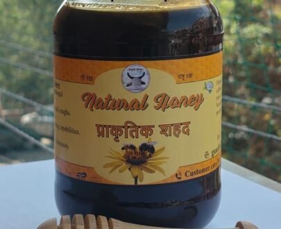 wild-forest-honey-little-honey-bee