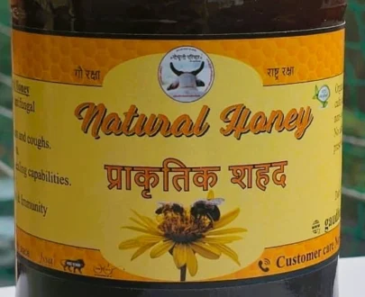 wild-forest-honey-little-honey-bee