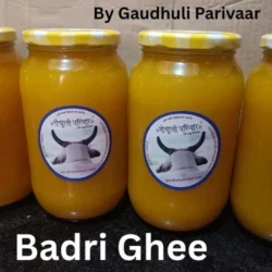 Badri Gaumata Bilona Ghee / हिमालयी बद्री गाय का बिलोना घी
