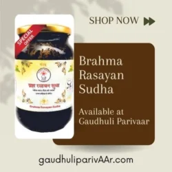 Brahma Rasayan Sudha / ब्रह्म रसायन सुधा (48 गुणकारी जड़ीबूटी युक्त) (500ml & 1000ml)