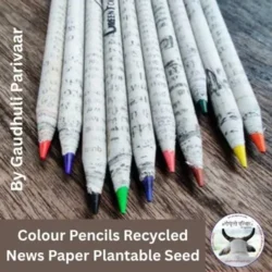 Colour Pencils Recycled News Paper Plantable Seed  /   रंगीन  पेंसिल रोपण योग्य बीज  Pack of 10 Pencil