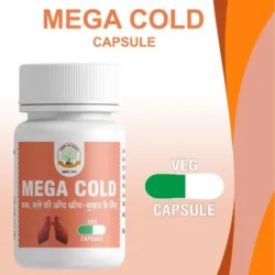 Mega Cold Capsules/ मेगा कोल्ड कैप्सूल 30 टैबलेट