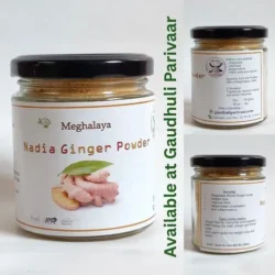 Ginger Powder from Megalaya  ( Variety - Nadia)   – मेघालय की सोंठ नार्थ ईस्ट ( किस्म - नदिअ ) – 90 grm