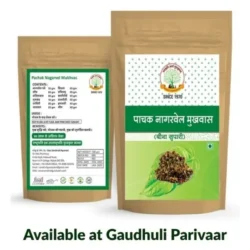 Pachak Nagarvel Mukhvas  /पाचक नागरवेल मुखवास 100 Gms.