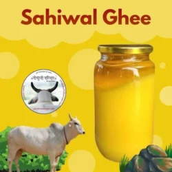 Sahiwal Bilona Ghee/ साहीवाल बिलोना घी - 1litre