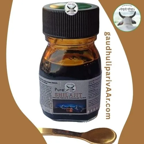 pure shilajit by gaudhuliparivaar