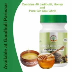 Rishimuni Medhyarasayan/ऋषिमुनि मेध्यारासायन 500 gm