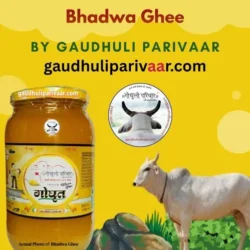 Bhadwa Ghee/विशेष भादवे (भाद्रपद माह) का घी / Premium Bhadwa Ghee - 500ml & 1000ml  Ltd. Quantity(GST included and Free Shipping)