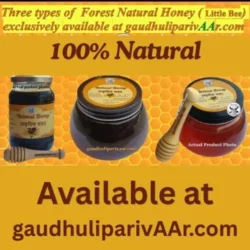 Four types of Natural Wild Honey - चार प्रकार के प्राकृतिक  जंगली शहद