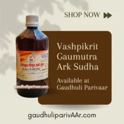 Gaumutra Aasav Sudha / गोमूत्र आसव सुधा (500ml)