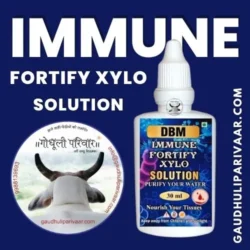 MSDB ALT Fortify XYLO Solution-Dr. Susan Raj’s Guru Chela Akela Detox kit for overall health.